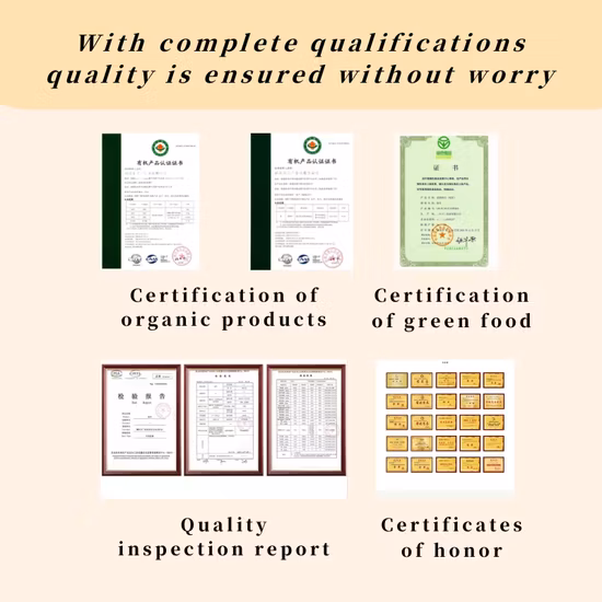 중국 녹차 고품질 프리미엄 유기농 Maojian 녹차 잎